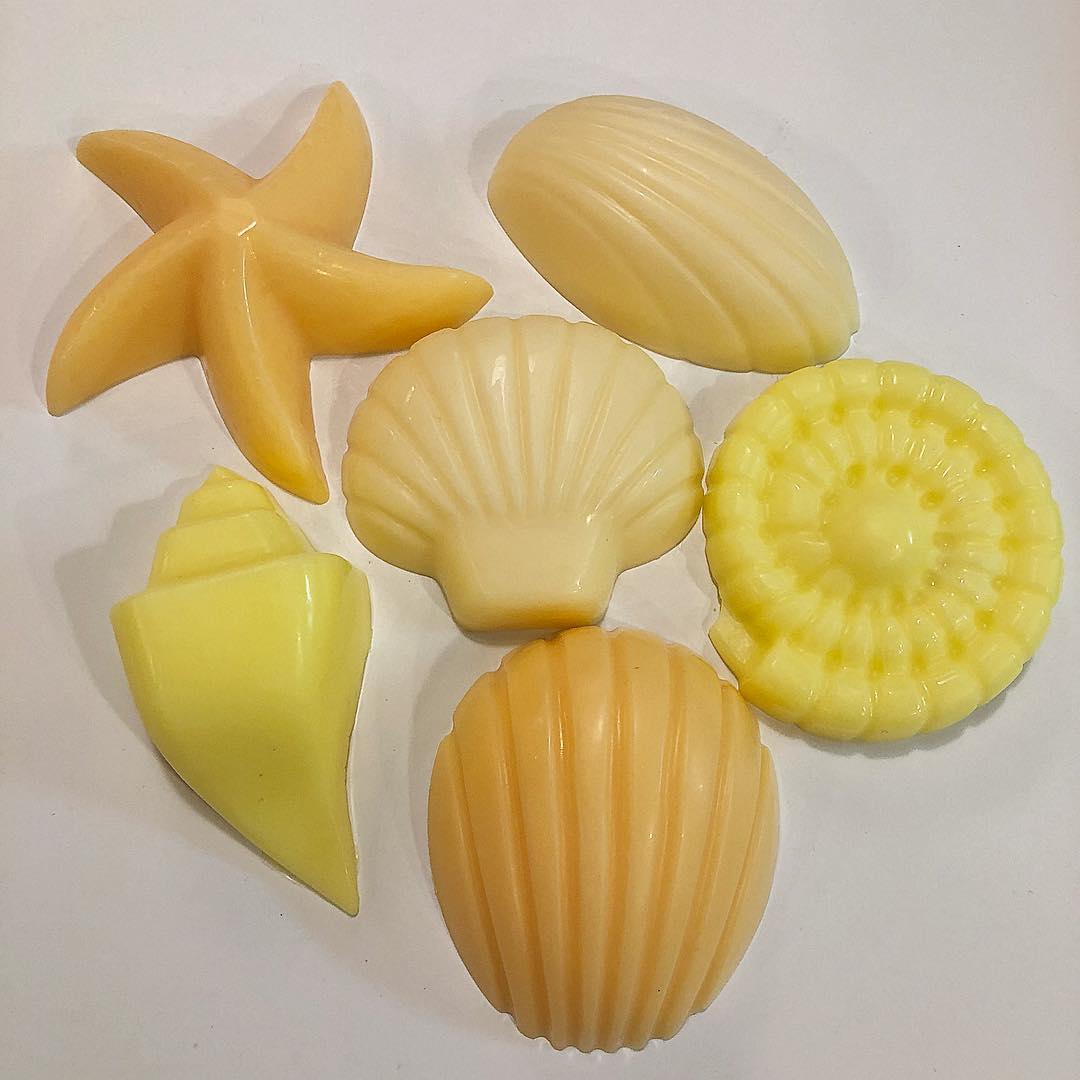 Seashell Soap Set (set of 6)