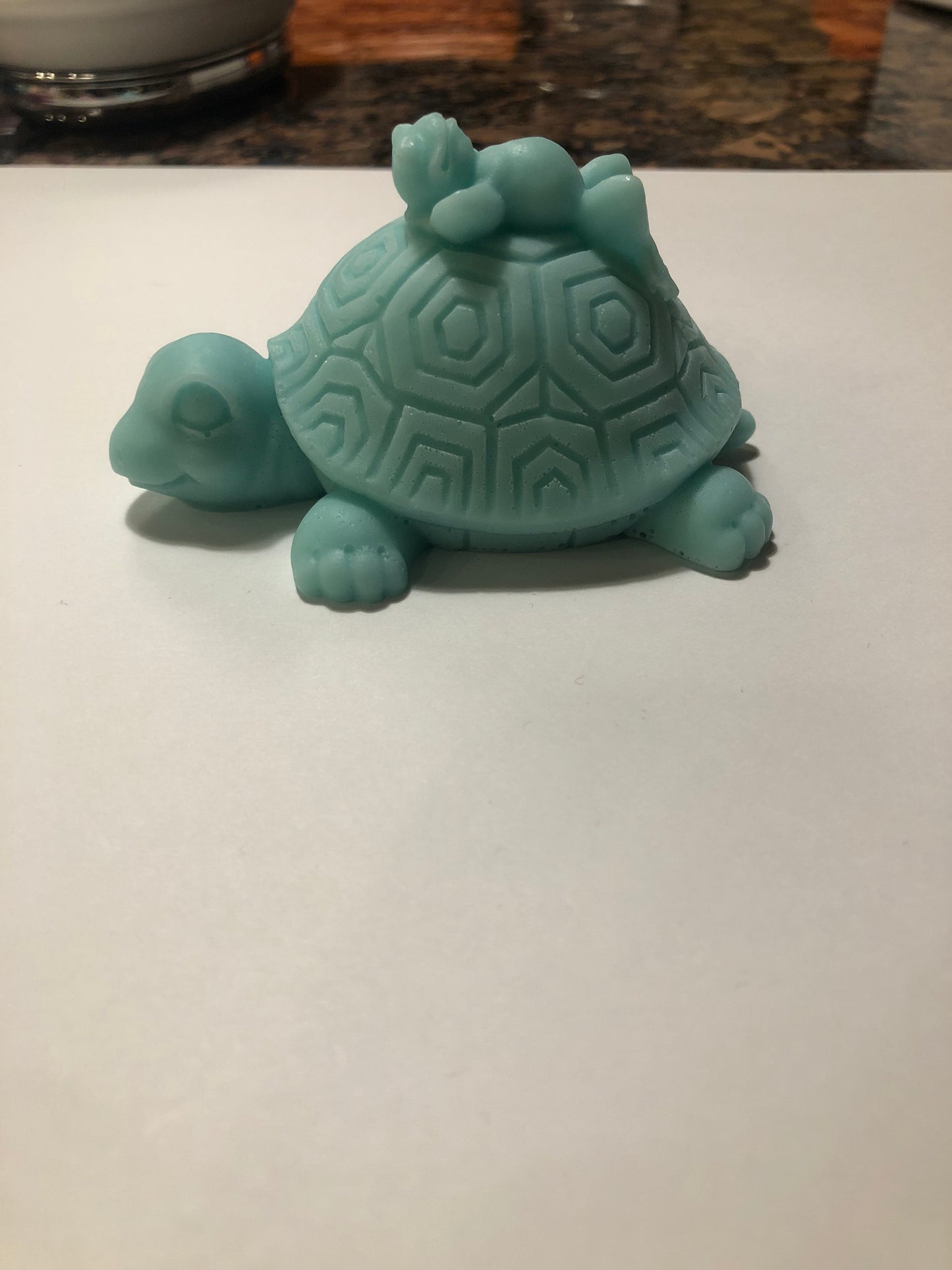Turtle Giving His Frog Friend A Ride Soap