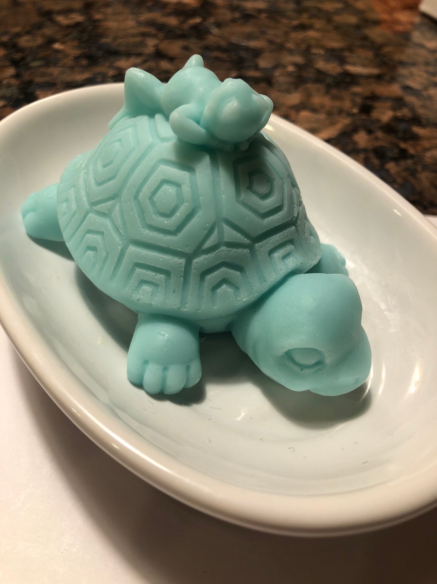 Turtle Giving His Frog Friend A Ride Soap