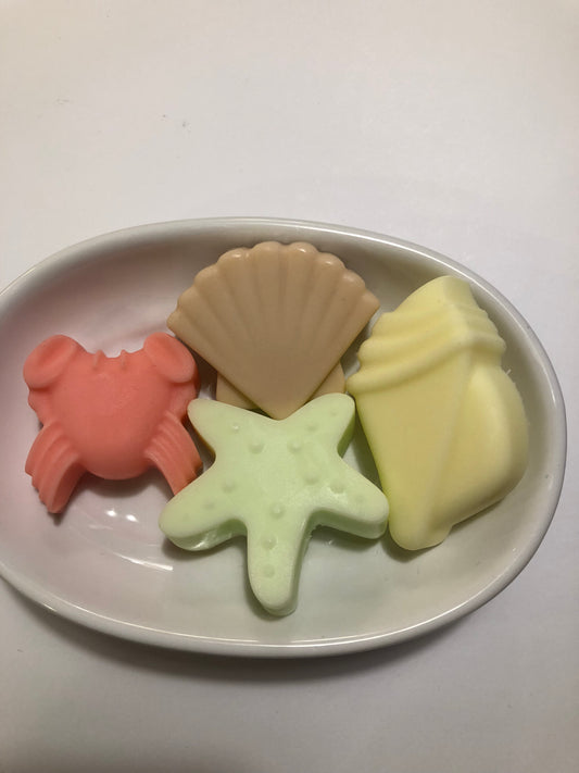 Beach Soap Set
