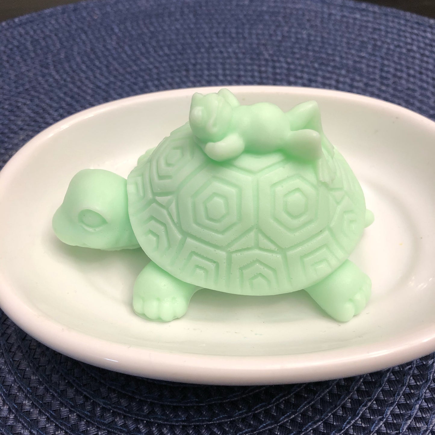Turtle Giving His Frog Friend A Ride Soap