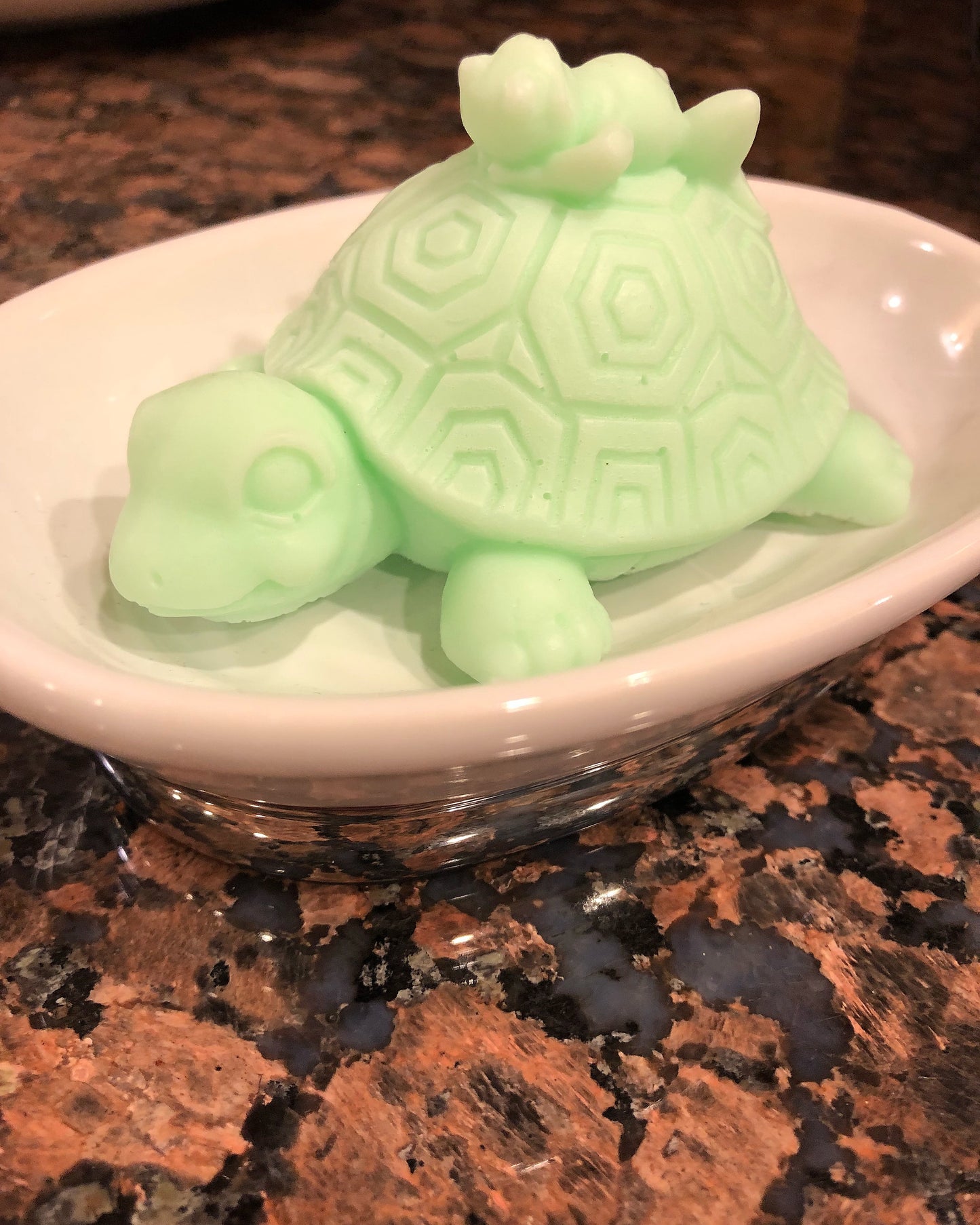 Turtle Giving His Frog Friend A Ride Soap