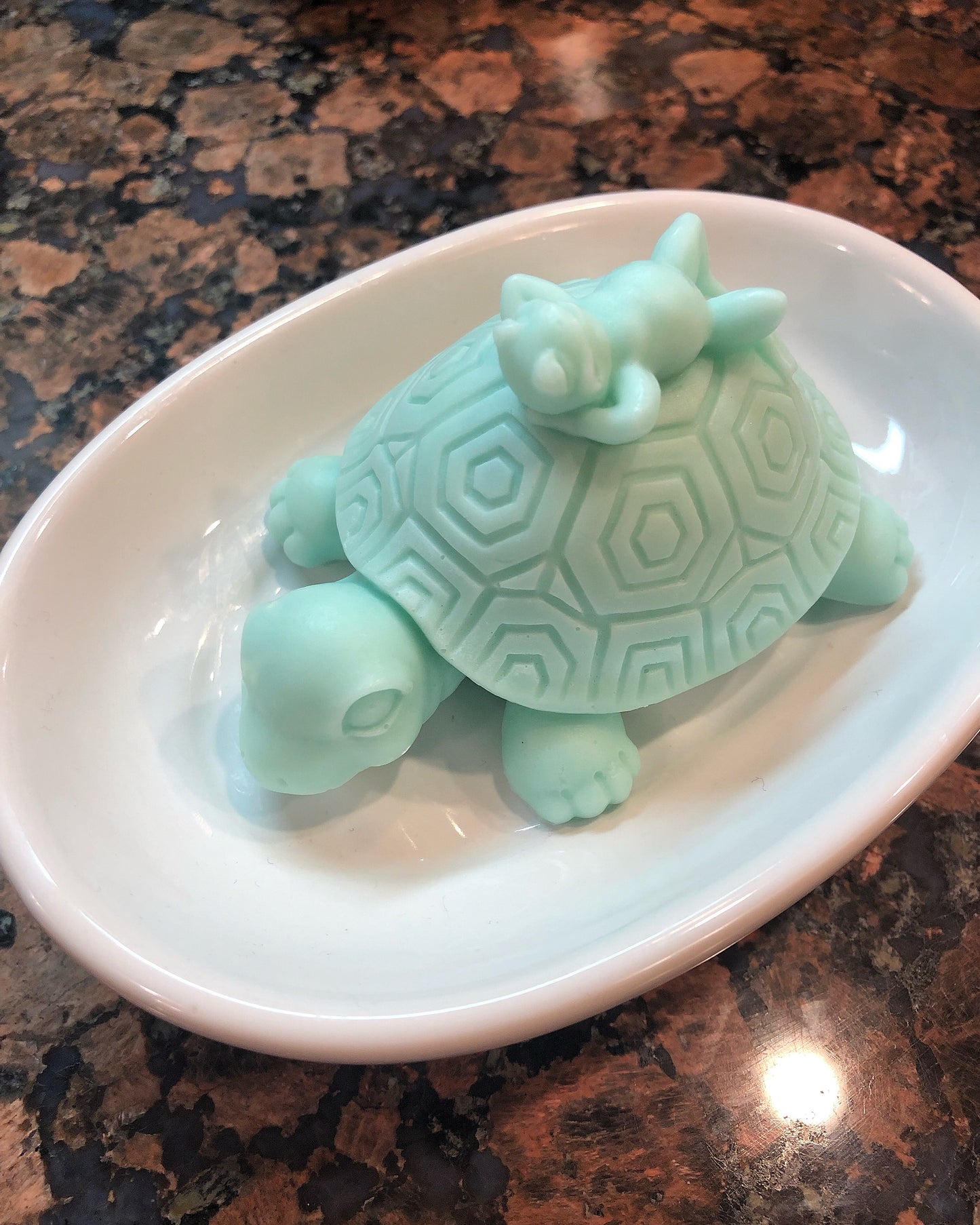 Turtle Giving His Frog Friend A Ride Soap