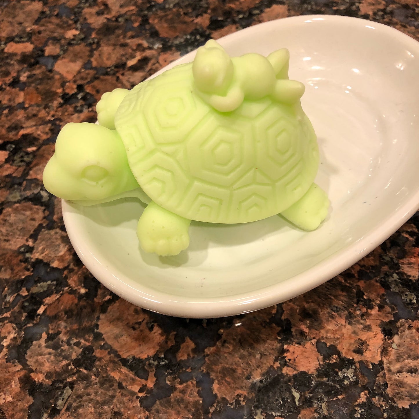 Turtle Giving His Frog Friend A Ride Soap