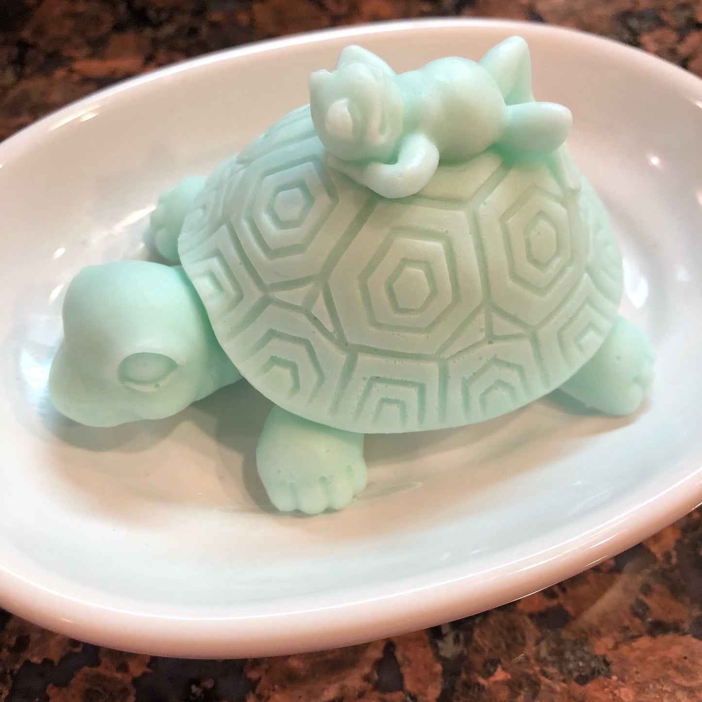 Turtle Giving His Frog Friend A Ride Soap