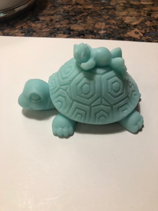 Turtle Giving His Frog Friend A Ride Soap