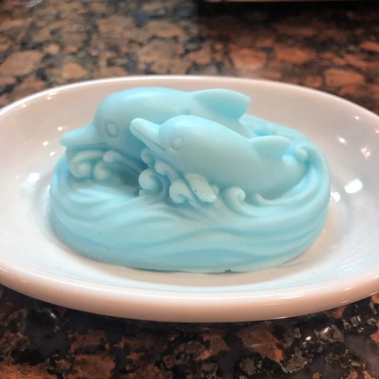 Dolphins Soap