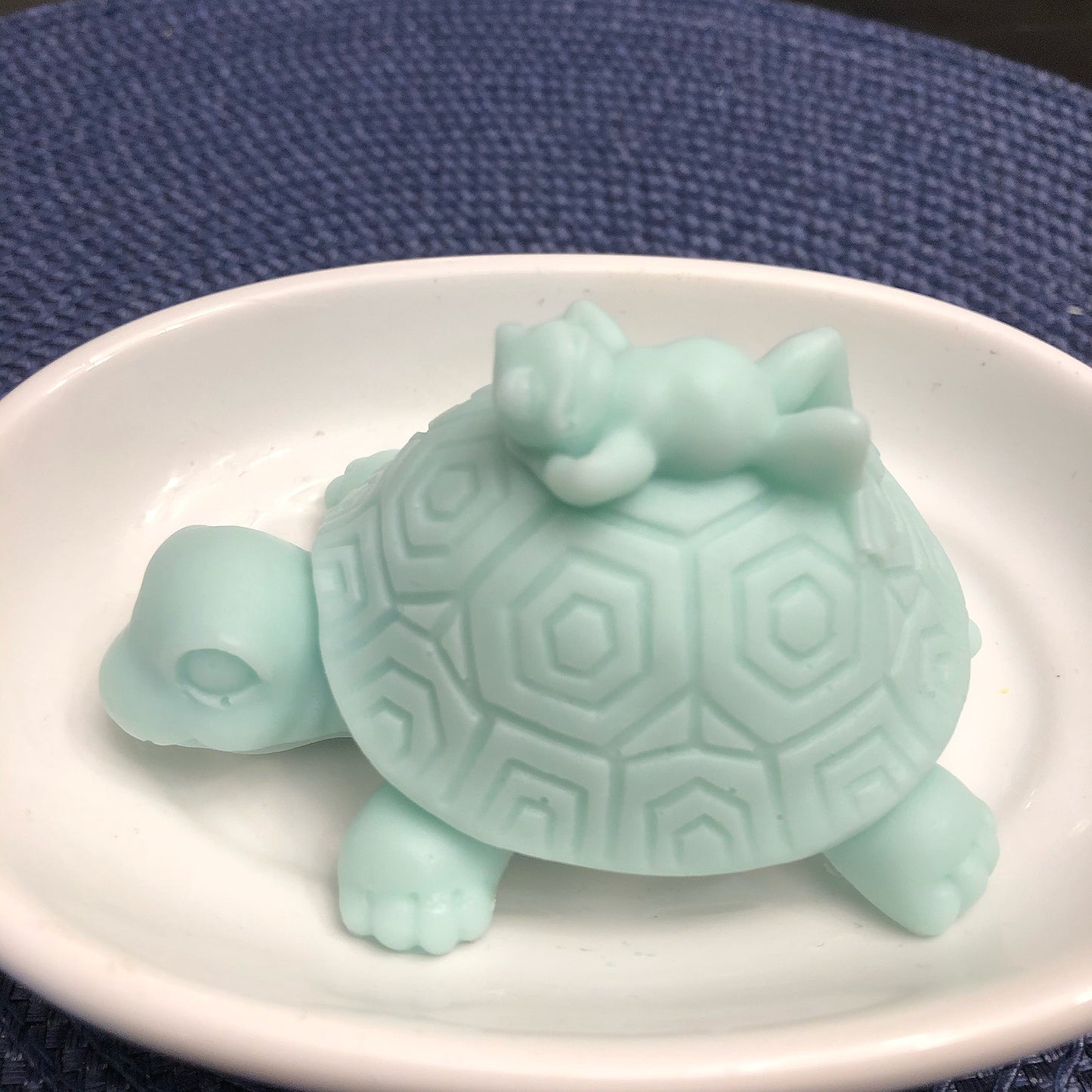 Turtle Giving His Frog Friend A Ride Soap