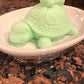 Turtle Giving His Frog Friend A Ride Soap