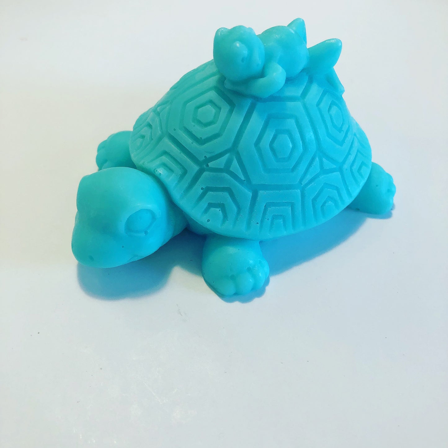 Turtle Giving His Frog Friend A Ride Soap