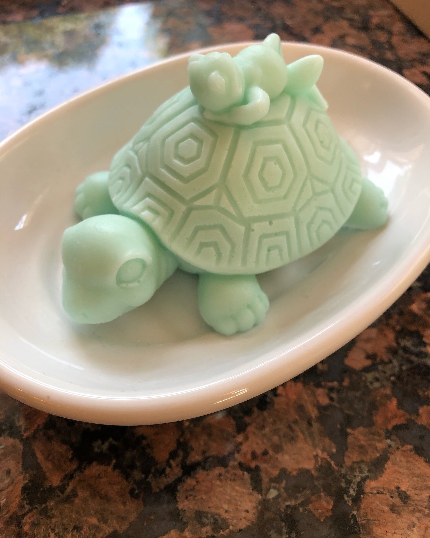 Turtle Giving His Frog Friend A Ride Soap