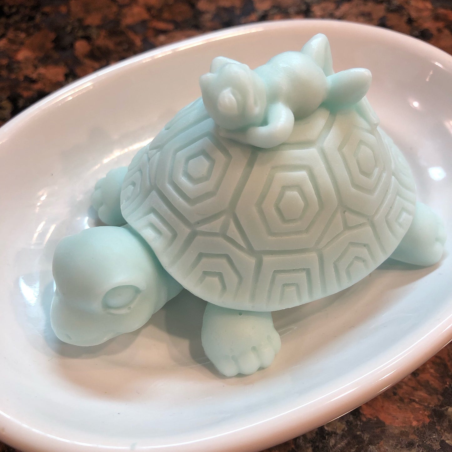 Turtle Giving His Frog Friend A Ride Soap